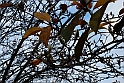 Parco Europa Autunno_017